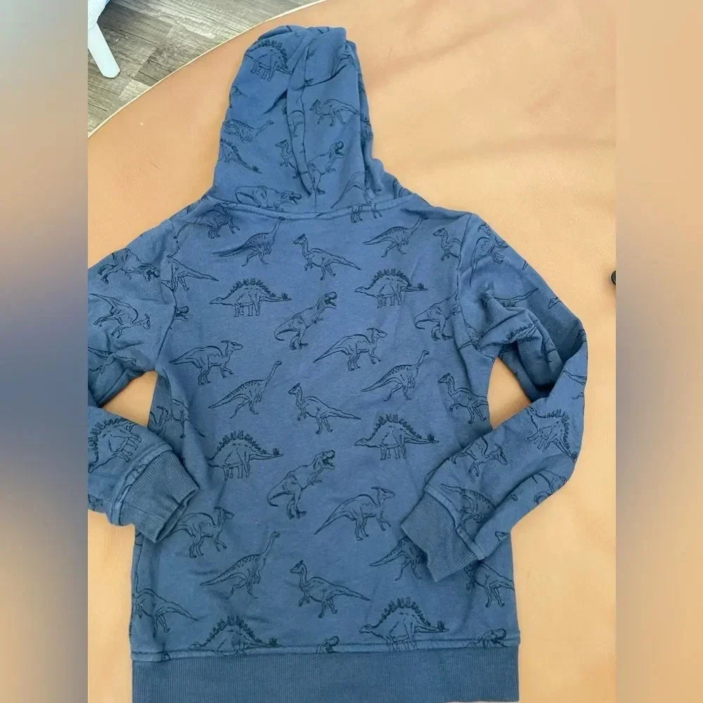 H&m sweater dinosaur Hoodie boys